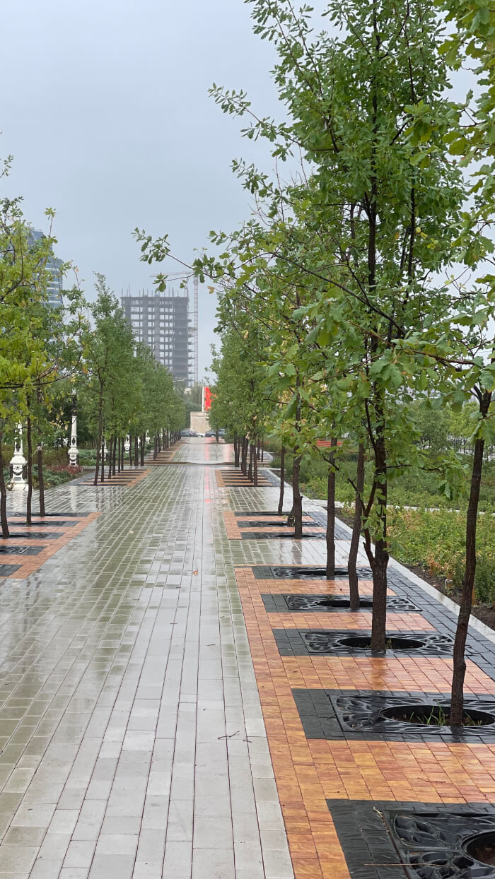 Приствольная решетка для дерева ZKING CRUST 1.2х1.2м Черная в Югорске фото